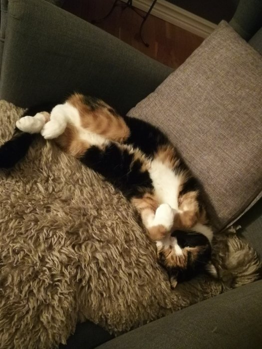 En katt ligger upp och ner på en grå soffa med en fluffig filt.