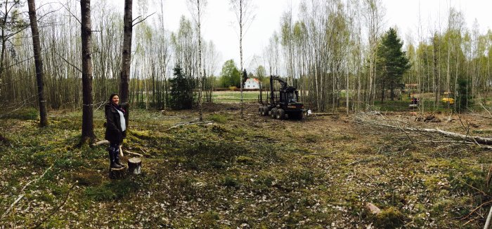 Person står på en stubbe i en nyröjd skogstomt med fällda träd och en skogsmaskin i bakgrunden.