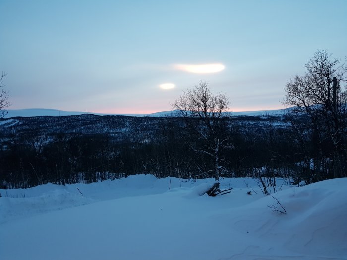 Vinterlandskap vid skymning med snötäckta berg och träd mot pastellfärgad himmel.