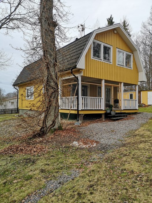 Altan på plintar framför ett gult hus med öppen planlösning och stora fönster.