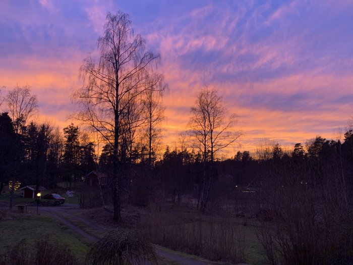 Solnedgång med intensiva lila och orange färger över landskap med träd och hus.