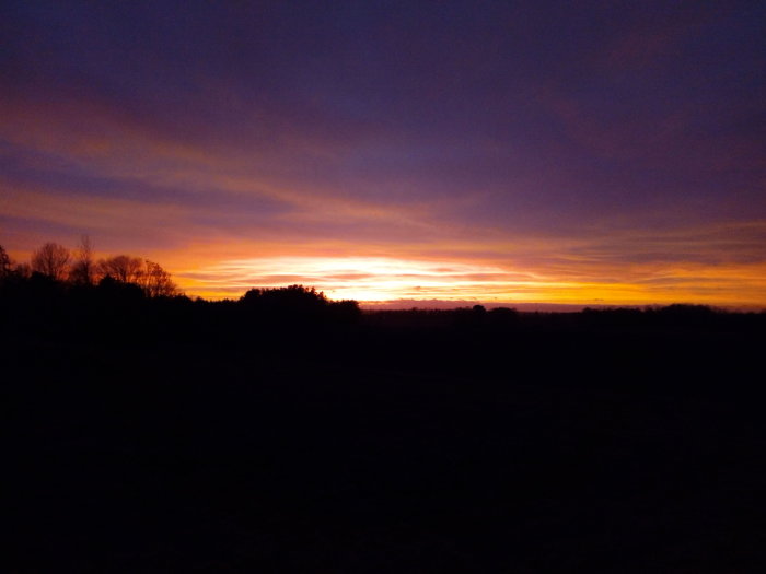 Solnedgång med röd-orange himmel och mörka träd siluetter.