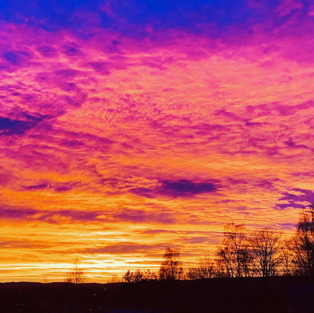 Dramatisk solnedgång med levande rosa och orange färger på himlen över silhuetter av träd.