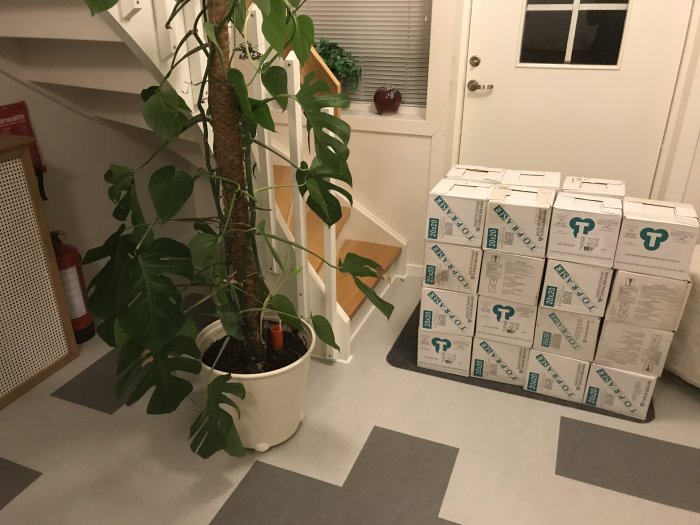 Kakelkartonger staplade under en trappa bredvid en monstera i kruka med ett avklippt blad.