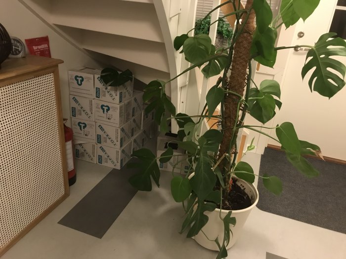 Kakellådor staplade under en trappa med en monstera i förgrunden som mist ett blad.