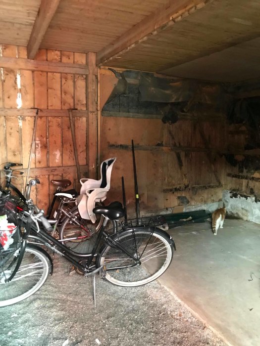 Oiisolerat rum med betonggolv, cyklar, synliga träbjälkar och en katt.