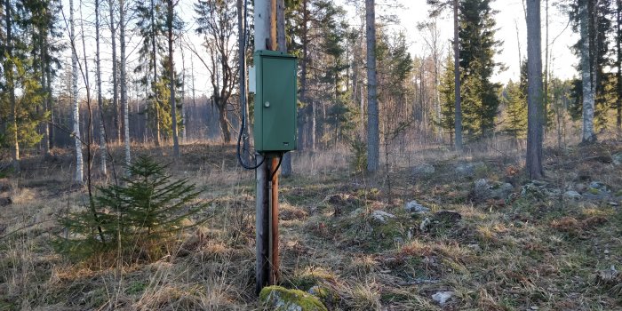 Elstolpe med ett grönt skåp monterat på i skogsmiljö, troligen innehållande mätare.