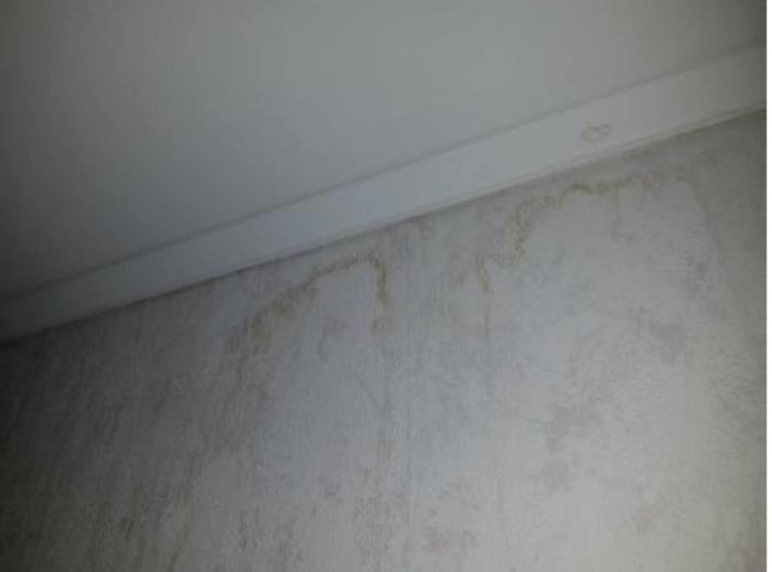 Missfärgningar på en vit vägg och tak som kan tyda på en tidigare fuktskada, intillighet till en diskussionstråd om byggbesiktning.