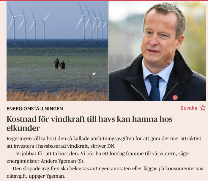 Rad med vindkraftverk till havs, två personer i vattnet i förgrunden, man i kostym som ser bekymrad ut.