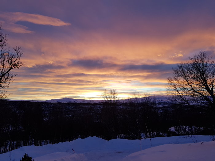 Solnedgång över en snöklädd landskap i Tänndalen med dramatiskt färgad himmel.