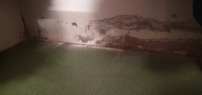 Mögel och fuktskador längs nedre delen av en vägg med grönt golv.