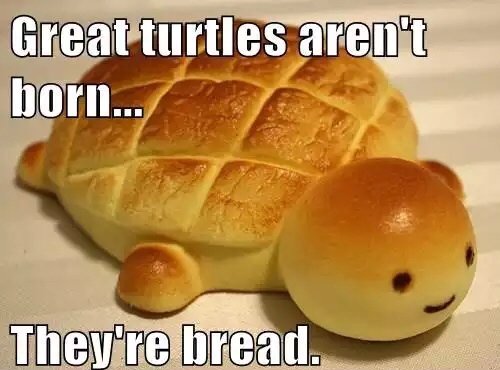 Ett bröd format som en sköldpadda med texten "Great turtles aren't born... They're bread.