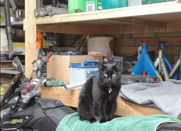 Svart katt sitter på en handduk framför en motorcykel i ett rörigt garage.