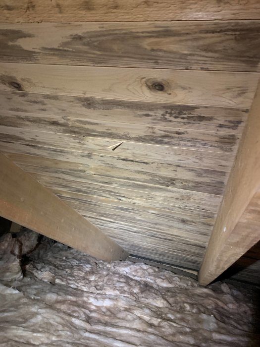 Fukt- och mögelskador på vinden synliga på träpanel och isolering, misstänkt orsakad av vatteninträngning nerifrån.