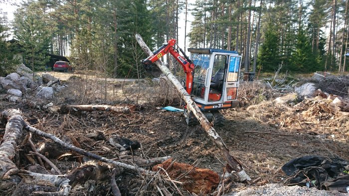 Minigrävare lyfter nerfälld björk i skogsområde med röjningsavfall runtomkring.