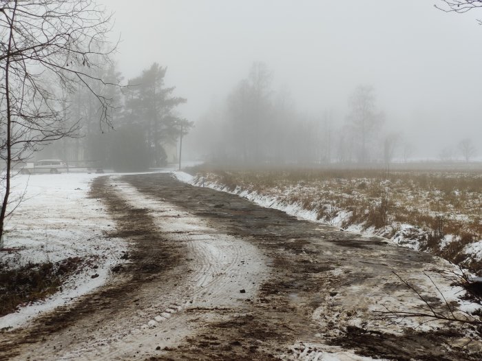 Dimmig vy av en nyanlagd infart med grus och slask, kantad av natur och träd i dis.