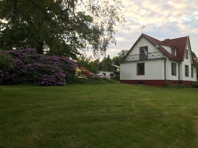 Traditionellt rött och vitt hus med grönt gräsmatta och blommande rhododendronbuskar.