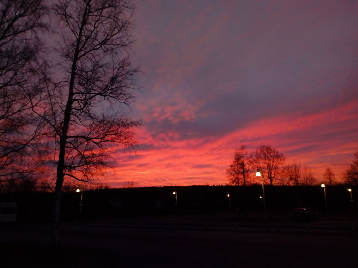 Ljusa tidiga morgonhimlen med rosa och lila toner över en parkering och silhuetter av träd.