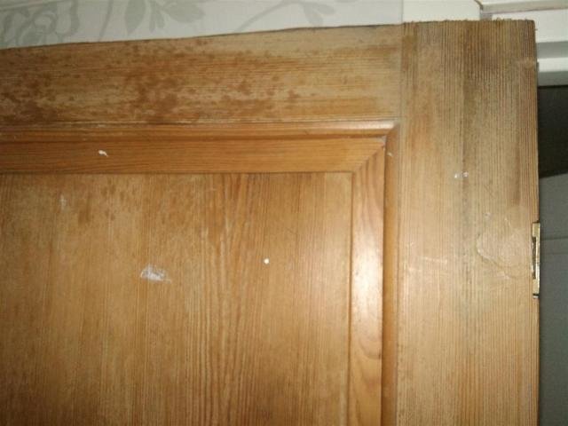 DSC00302.jpg
