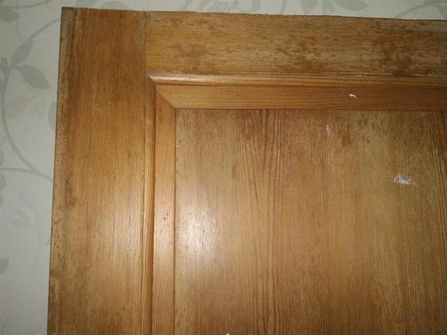 DSC00303.jpg