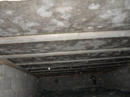 SAM_0204 02.JPG