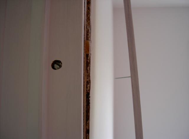 PICT5580.jpg
