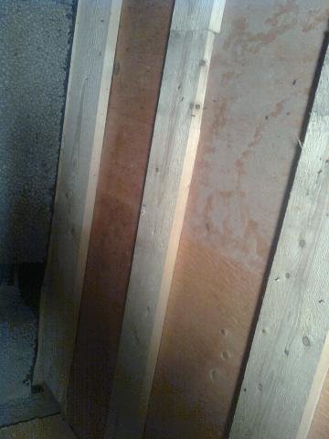 Bild0223.jpg