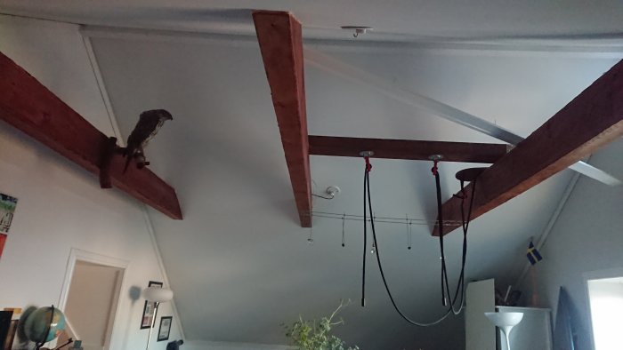 Tak med träbalkar och kablar för belysning, plats för led-lister att monteras.
