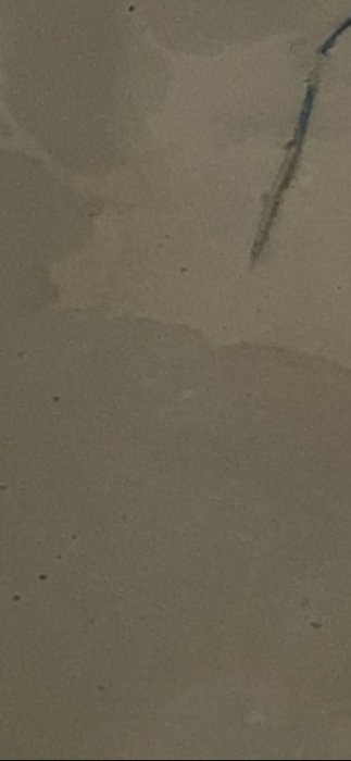 Golvvärme slinga som har släppt från betonggolv och täcks delvis av ett tunt lager flytspackel.