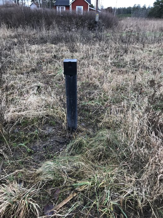Svart luftningsrör sticker upp från marken på en gräsmark med tät växtlighet.