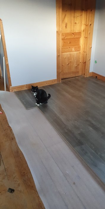 Halvläggt laminatgolv i vardagsrum med katt sittandes på det.