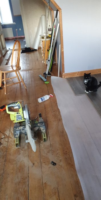 Golvrenovering i vardagsrum med verktyg och en svartvit katt, ej färdiglagt laminatgolv.