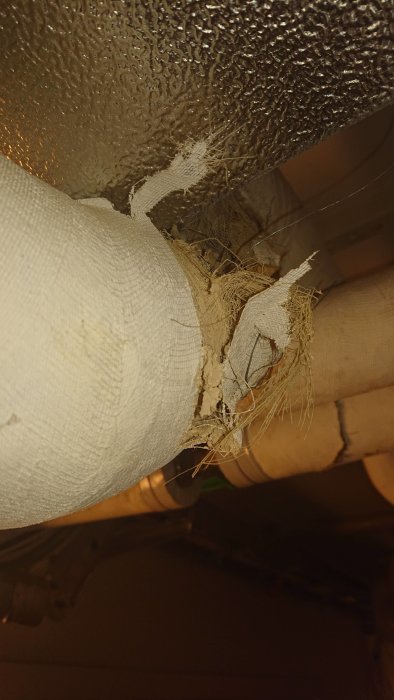 Skadad isolering på rör som kan innehålla asbest, synligt i en källargång.