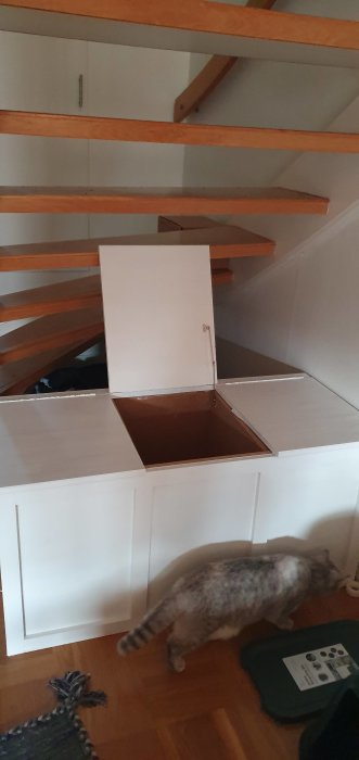 Katt nosar på öppen återvinningslåda i kök med vit skåpinredning och trätrapp.