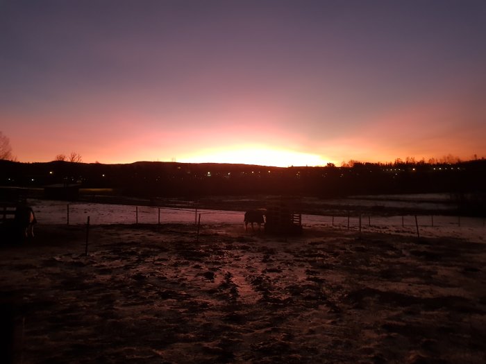 En soluppgång över en lantlig stallgård med silhuetter av hästar och stängsel mot en röd-orange himmel.