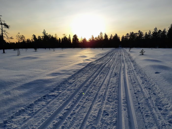 Soluppgång över ett snötäckt landskap med skidspår som leder in i en skog.