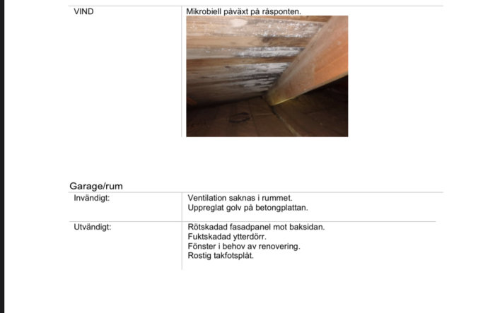 Träbjälkar under tak i vind med synlig mikrobiell påväxt och text från besiktningsprotokoll.