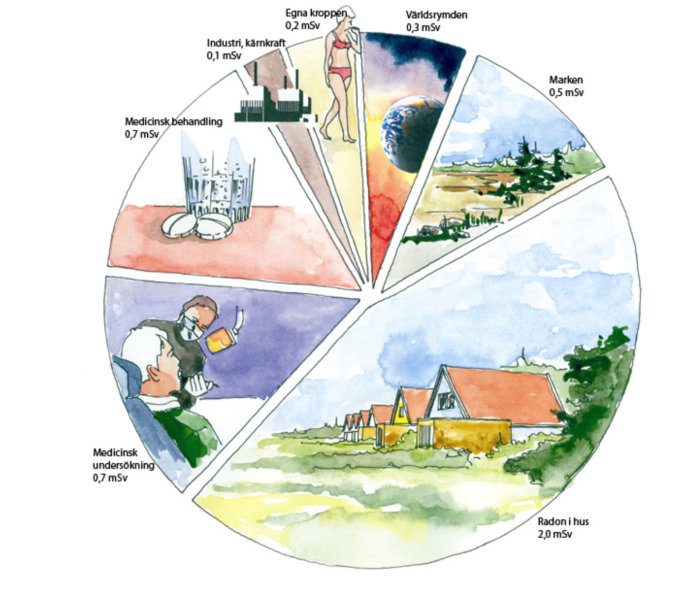 Illustration av olika källor till radioaktiv strålning med doser i mSv: från kroppen, rymden, marken, radon i hus, industrier och medicinska behandlingar.