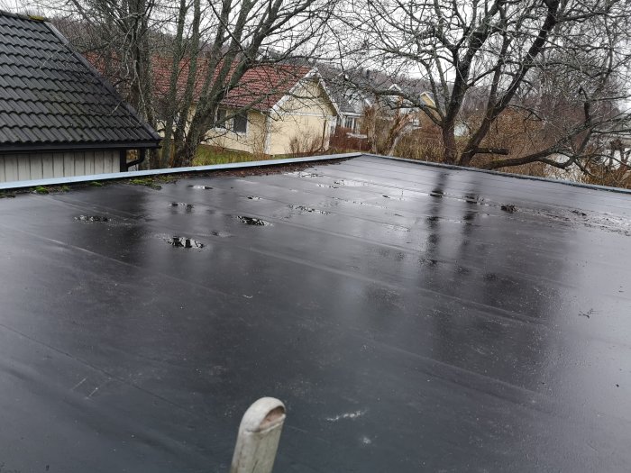 Garagetak med fukt/-läckagefläckar, omgivet av träd och annat hus i bakgrunden.