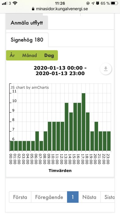 Ståldiagram som visar timvis elanvändning med varierande förbrukning, större förbrukning noteras efter arbete och på natten.