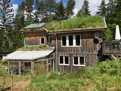 Trähus med grönt sedumtak, uteplats och växthus, i en lummig trädgård.