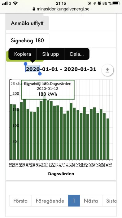 Stapeldiagram som visar daglig energiförbrukning i kWh för januari månad med pekfält för detaljerad data.