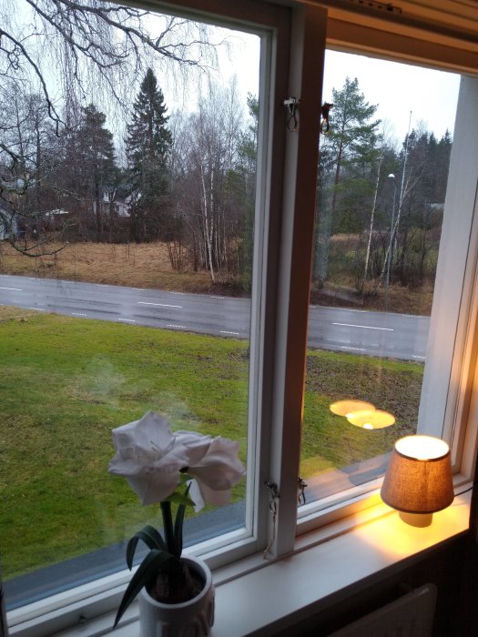 Tvåglasfönster med öppningsbar ruta, vy mot väg, pelargon i fönster och lampa på fönsterbrädan inomhus.