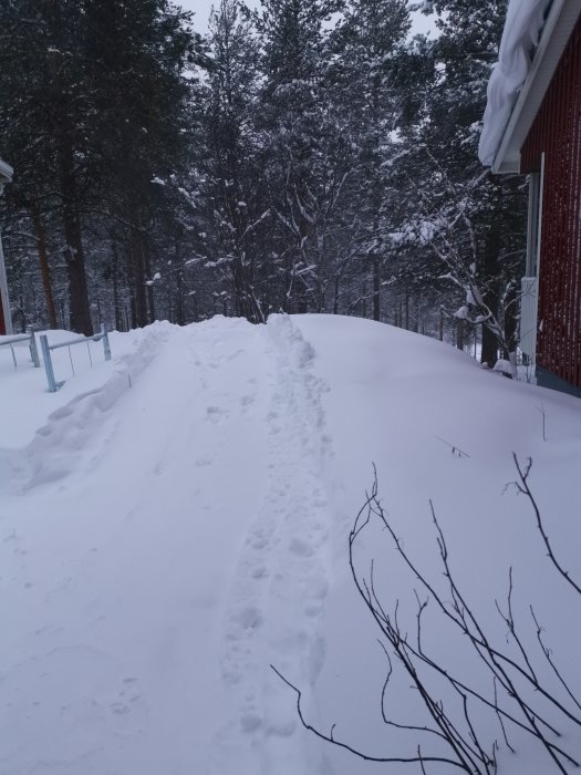 Spår i djup snö längs med en stig vid en röd byggnad med träd i bakgrunden under snöfall.