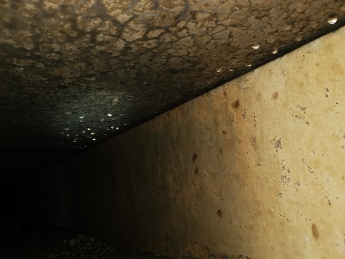 Fuktiga betongväggar och droppar i en krypgrund under ett hus.
