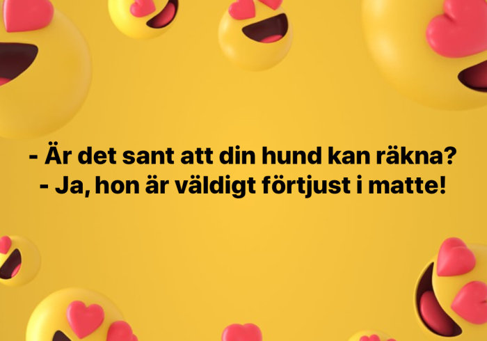 Humoristisk bild med smiley och textskämt "Är det sant att din hund kan räkna? -Ja hon är väldigt förtjust i matte!" på gul bakgrund.