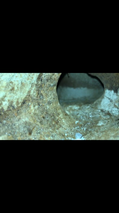 Close-up av en mögelangripen vägg med synlig fuktskada och hål.