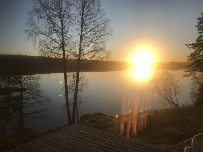 Solnedgång över en stilla sjö sedd från en terrass med träd i silhuett.