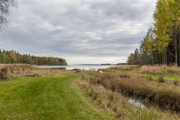 Gräsmark som leder till en bäck med skog och hav i bakgrunden, gästhus ej synligt.