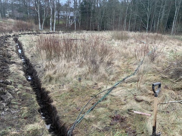 En grävd gräv ner fiberkabel längs ett fält med en spade och omgivande natur.